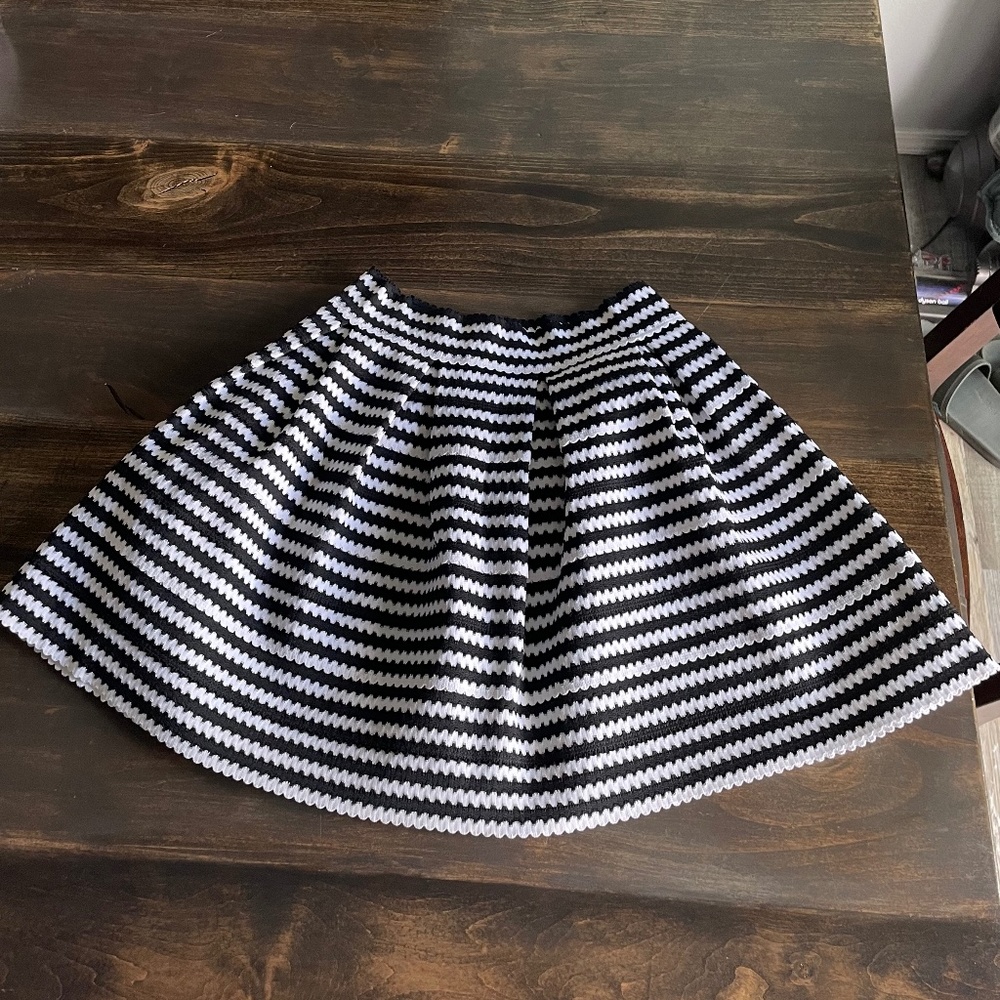 Express Striped Skirt